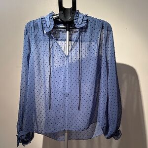 Blue Sheer Polka Dot Women's Top